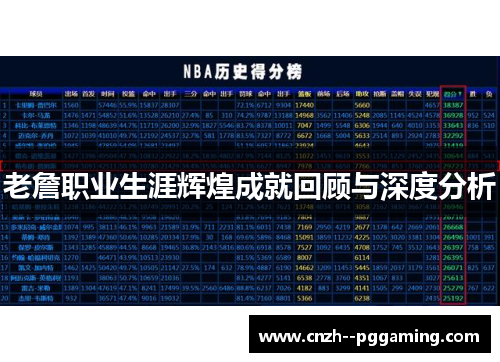 老詹职业生涯辉煌成就回顾与深度分析